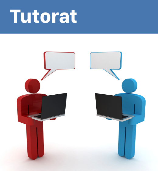 Option tutorat avec vos formation en ligne