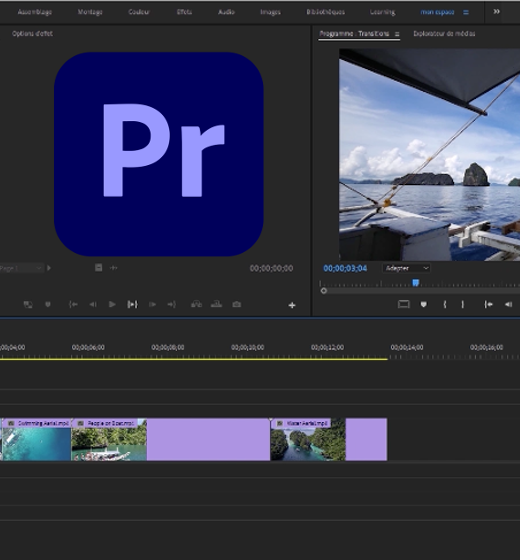 Formation en ligne à Adobe Premiere Pro 20-21 by DiDaXo.Tv et Malko Pouchin